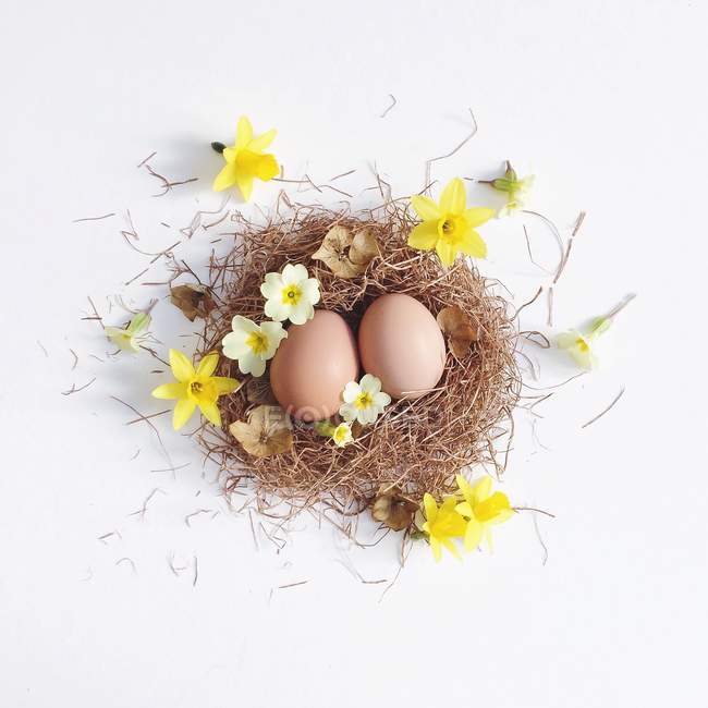 Nid de Pâques avec œufs et fleurs de printemps — Photo de stock