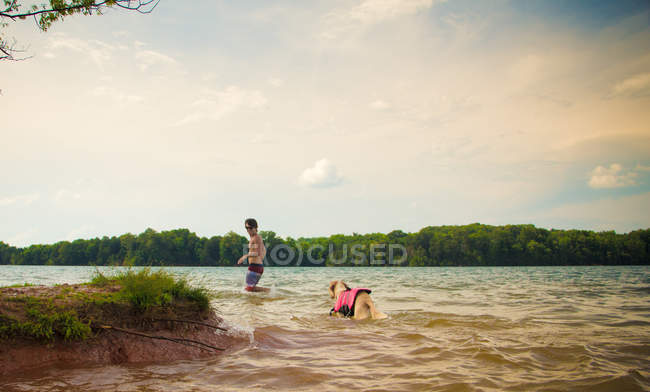 Человек и собака, гуляющие в озере, Лаудон, Теннесси, США — стоковое фото