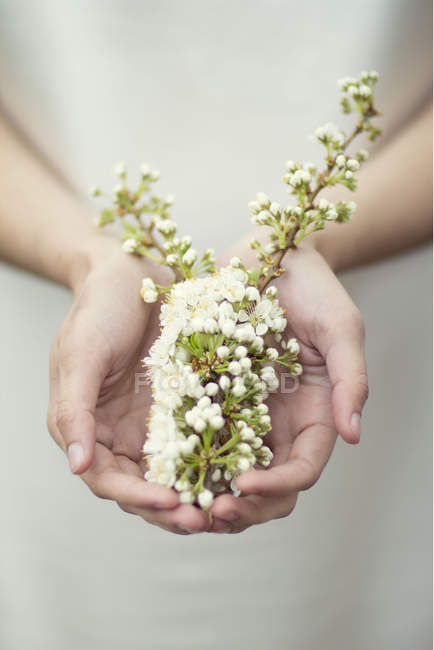 Abgeschnittenes Bild einer Frau, die Blumen in Händen hält — Stockfoto