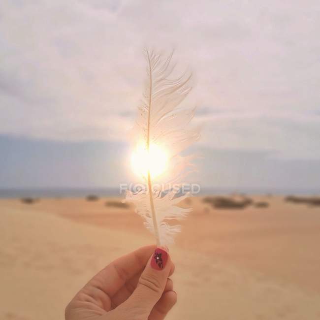 Gros plan de la main féminine tenant une plume devant le soleil — Photo de stock