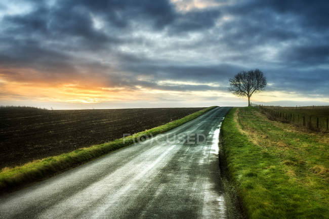 Camino a través del paisaje rural, Warwickshire, Inglaterra, Reino Unido - foto de stock