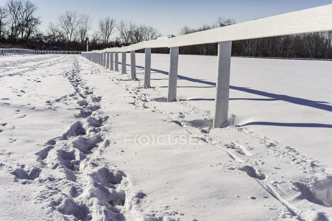 Сліди снігу уздовж дерев'яного паркану — стокове фото