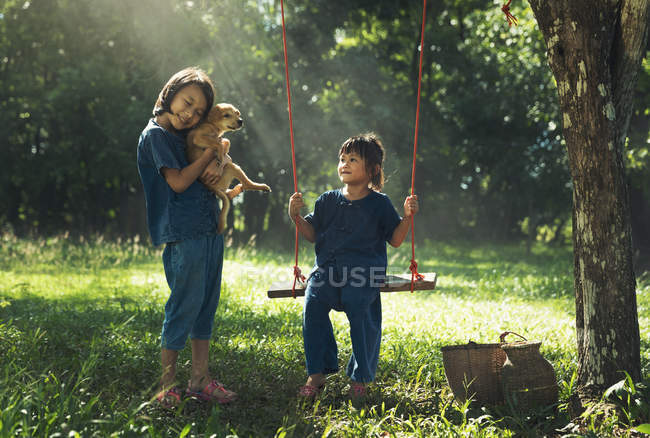 Две девочки играют с щенком под деревом с качели — стоковое фото