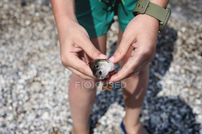 Close-up of male hands holding fresh caught fish — Stock Photo