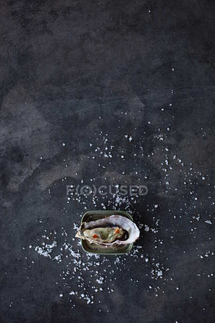 Fresh Oyster with dill and salt on grey surface — Stock Photo