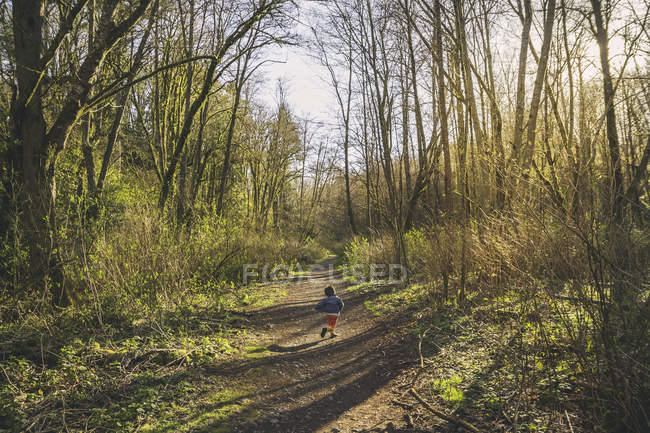 Маленький мальчик бежит по дороге через лес — стоковое фото