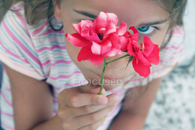 Крупным планом Девушка держит дикие розы и смотрит в камеру — стоковое фото