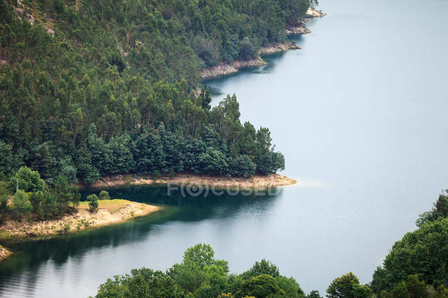 Вид с воздуха на озеро и деревья, Terras de Bouro, Брага, Португалия — стоковое фото