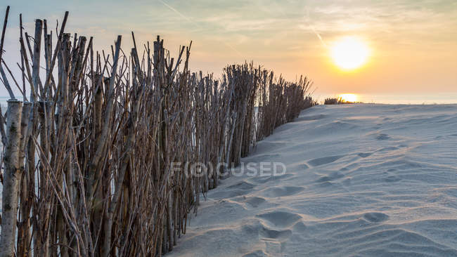 Scenic view of wooden fence on beach at sunset, Schoorl, Holland — Stock Photo