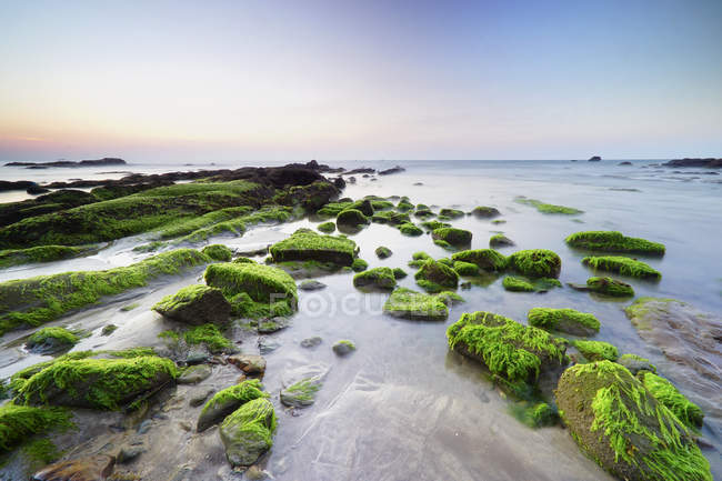 Moss cubierto de rocas, Tindakon Dazang Beach, Kudat, Borneo, Malasia - foto de stock