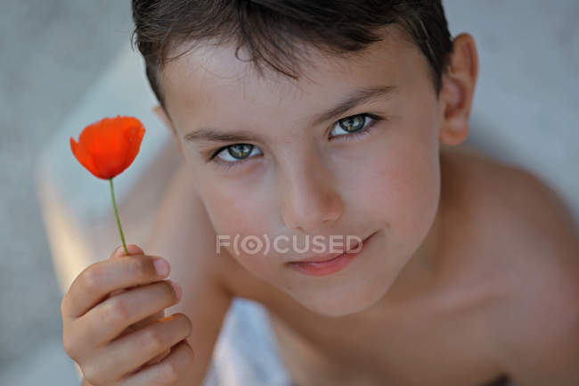 Primer plano de Boy sosteniendo una flor de amapola - foto de stock