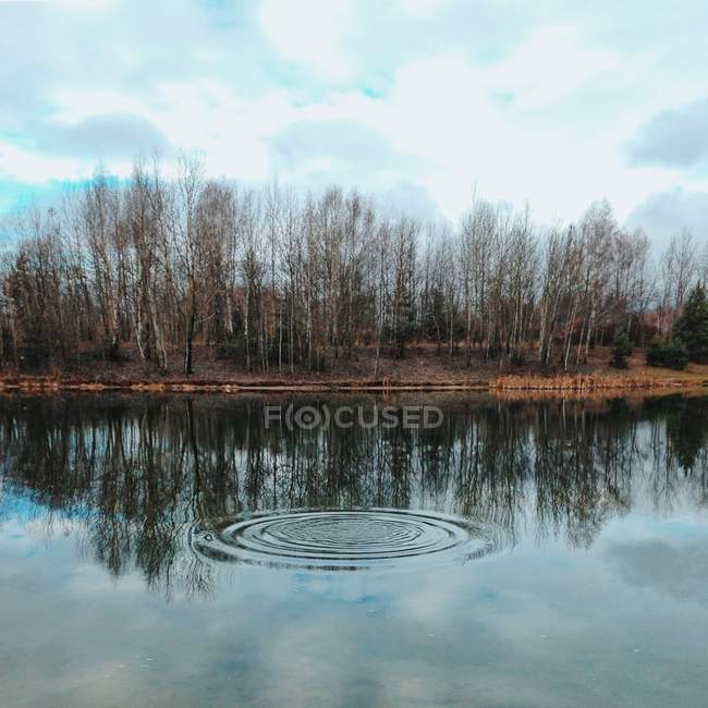 Vista panoramica di acqua concentrica increspature nel fiume — Foto stock