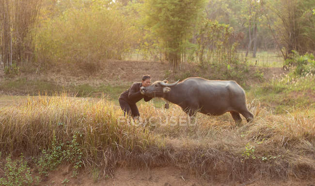 Farmer standing with buffalo in field, Thailand — Stock Photo