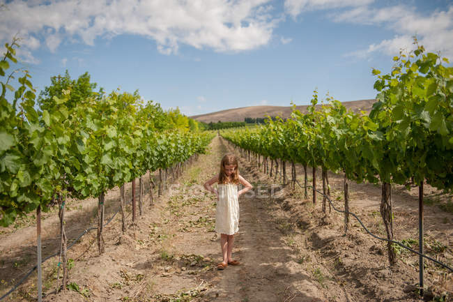 Дівчина стоїть у винограднику і дивиться вниз — стокове фото