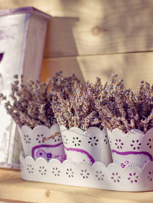 Горшки лаванды в цветочных горшках против деревянной стены — стоковое фото