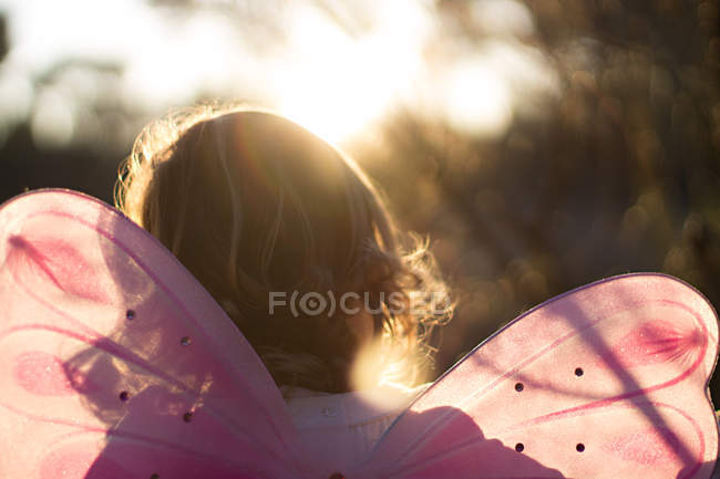Vue arrière d'une fille portant un costume de fée à la lumière du soleil — Photo de stock