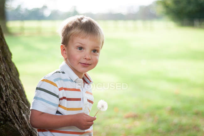 Portrait d'un garçon souriant tenant un pissenlit — Photo de stock