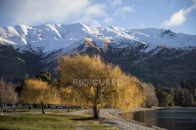 New Zealand, Landscape with snowcapped mountains — Stock Photo