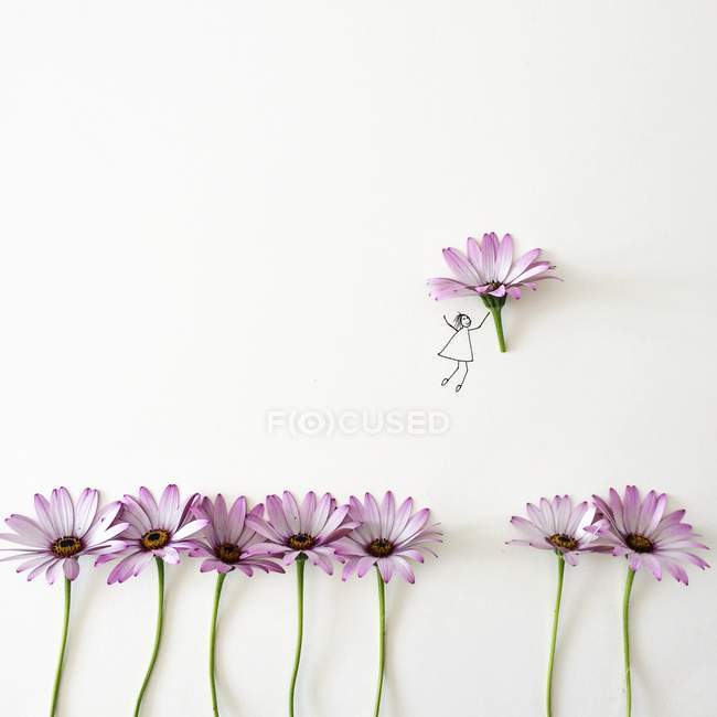 Conceptual chica recogiendo flor sobre fondo blanco - foto de stock