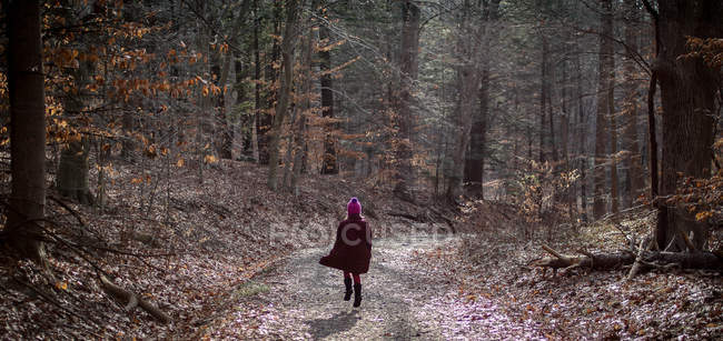 Fille marche sur le chemin à travers les bois automnaux — Photo de stock