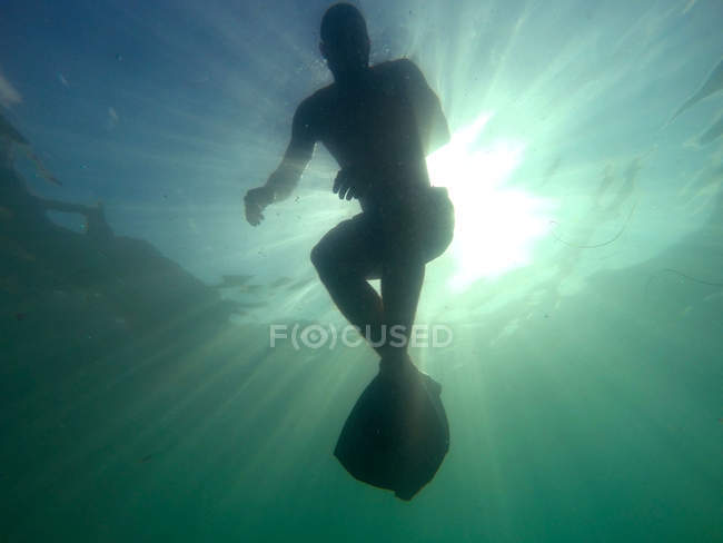 Hombre nadando bajo el agua en el océano en retroiluminación - foto de stock