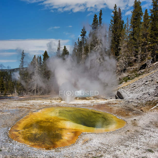 Steam over hot springs, Yellowstone National Park, Wyoming, America, USA — Stock Photo