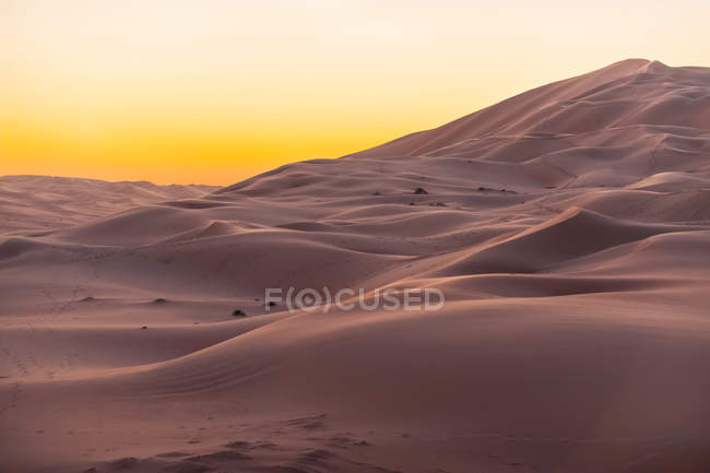 Coucher de soleil sur les dunes de sable, Abu Dhabi, Émirats arabes unis — Photo de stock