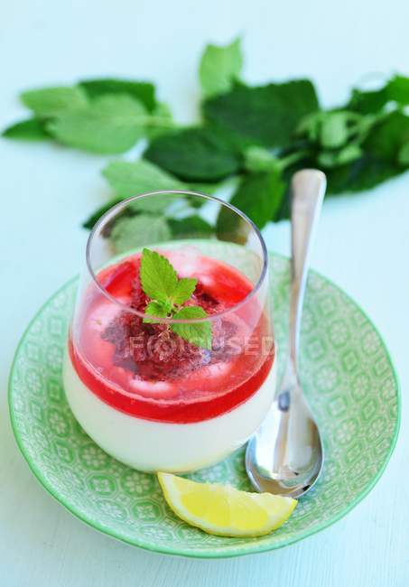 Griechische Joghurtcreme mit minzigen Erdbeeren und Kokosraspeln — Stockfoto