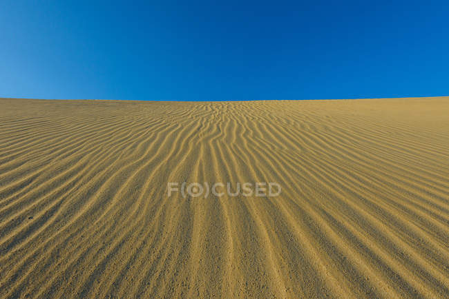 Vue panoramique sur les dunes de sable dans le désert — Photo de stock