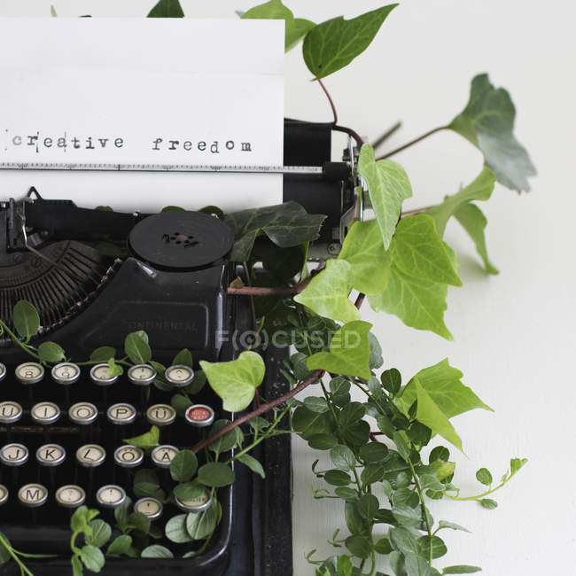 Nota na máquina de escrever cercada por plantas de hera — Fotografia de Stock