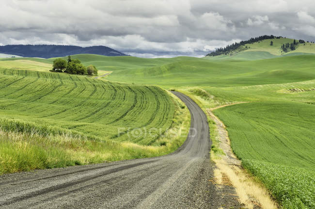 Vista panoramica di tortuosa strada di campagna, Palouse, Washington, USA — Foto stock