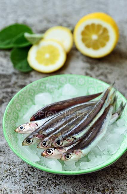 Frescas anchoas europeas crudas sobre hielo, aspecto sabroso - foto de stock