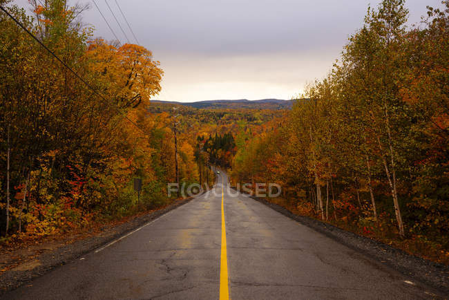 Vue symétrique de la route avec une seule ligne jaune et des arbres d'automne sur les côtés, Québec, Canada — Photo de stock