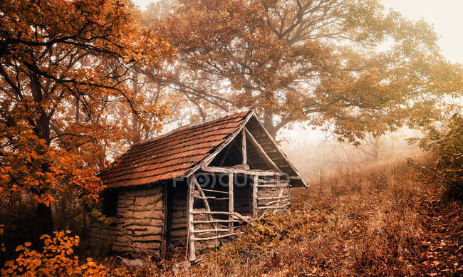 Vista panoramica della cabina in legno nella foresta durante la stagione autunnale — Foto stock