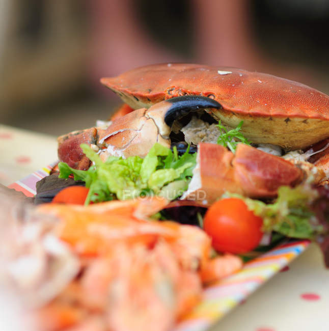 Крупним планом тарілка з морепродуктів, прикрашена салатом — стокове фото