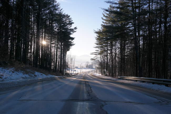 Scenic view of tree lined road in winter — Stock Photo