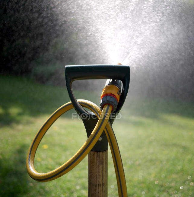 Close-up View of hosepipe to watering green garden — Stock Photo