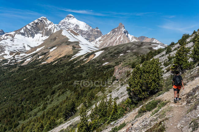 Canada, alberta, banff nationalpark, kanadische rockies, wanderer wandern entlang der berge — Stockfoto