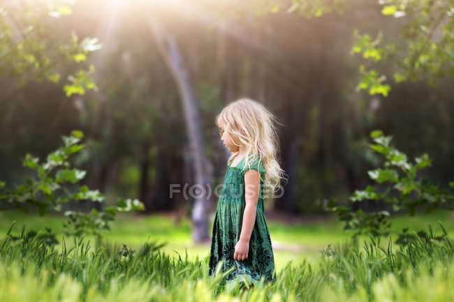 Blond little girl wearing green dress standing in meadow — Stock Photo