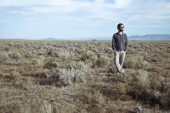 Человек в солнцезащитных очках, стоящий на полях из мудрых кистей — стоковое фото