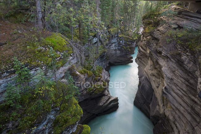 Vista panorâmica do rio que atravessa o desfiladeiro, Alberta, Canadá — Fotografia de Stock