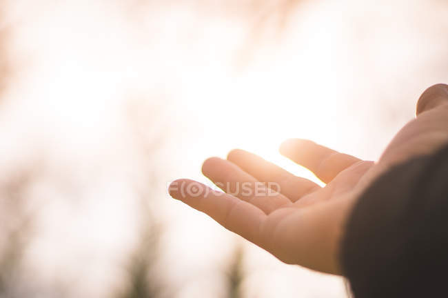 Image recadrée de la main de la personne devant la lumière du soleil — Photo de stock