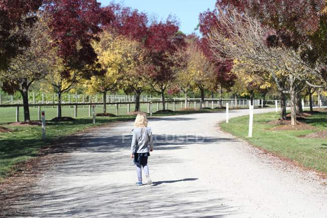 Vista posteriore della ragazza che cammina sulla strada di campagna — Foto stock