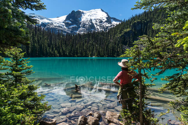 Canada, British Columbia, Joffre Lakes Provincial Park, female Hiker looking at Middle Joffre Lake — Stock Photo