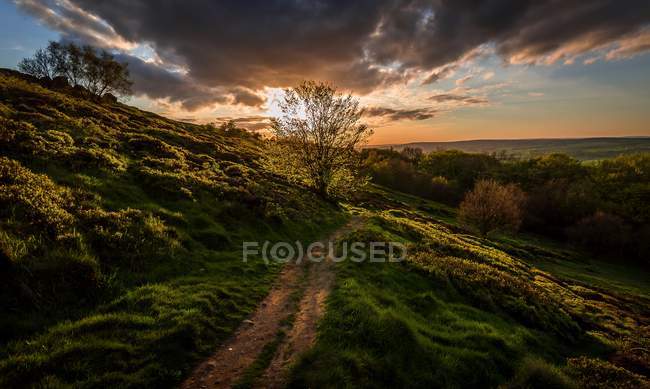 Vista panorámica del camino hacia el atardecer, Reino Unido, Inglaterra, Yorkshire - foto de stock