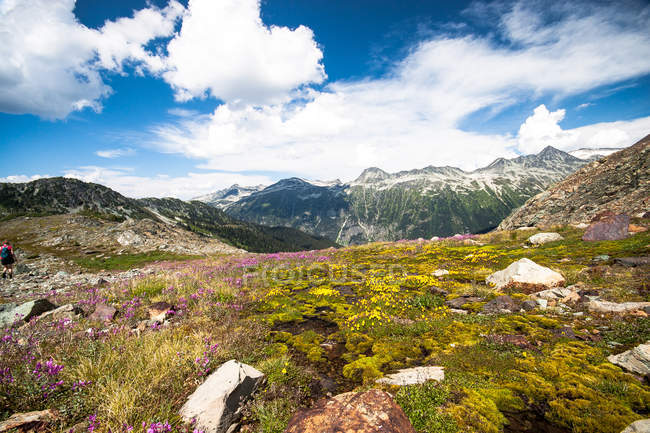 Canada, Columbia Britannica, Parco Garibaldi, vista panoramica del prato in montagna — Foto stock