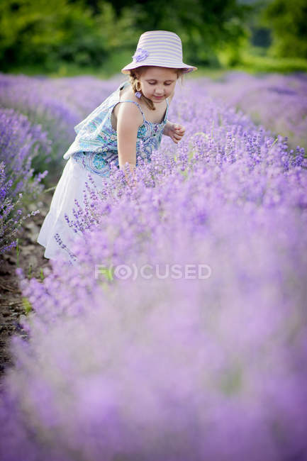 Petite fille portant un chapeau dans le champ de lavande — Photo de stock