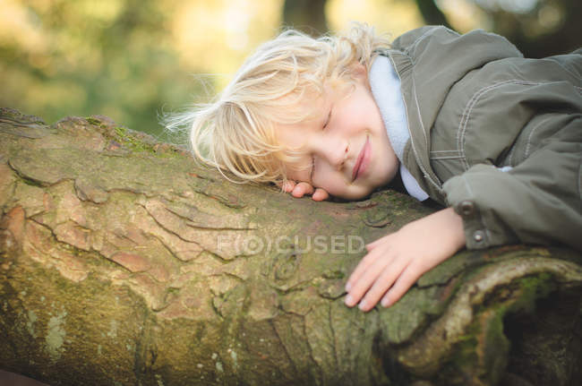 Sonriente rubio chico siesta en árbol tronco - foto de stock