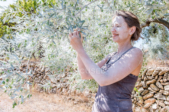Улыбающаяся женщина проверяет органические оливки в саду — стоковое фото