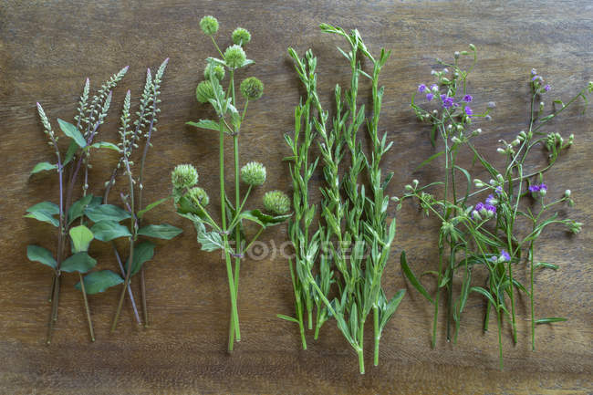 Des grappes de diverses herbes disposées en rangée sur une surface en bois — Photo de stock